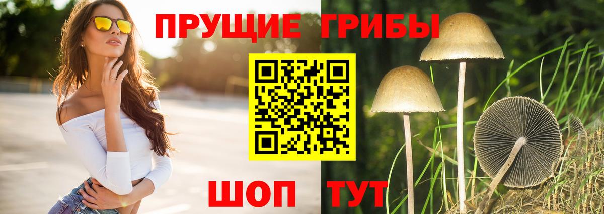 Псилоцибиновые грибы MAGIC MUSHROOMS  Вход с VPN  Верхняя Пышма 
